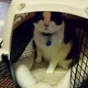 Meet your Posher, Jill